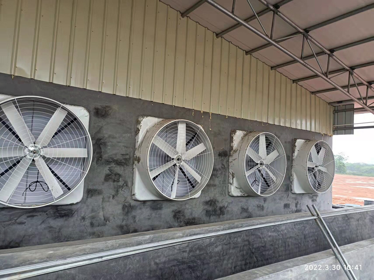 廣州水漫庭負壓風機+濕簾 廠房通風降溫超級組合(圖1) pic(21)_proc.jpg